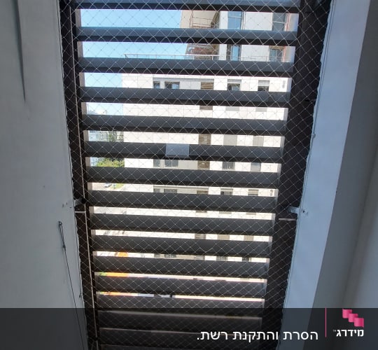 רשת מתכת על חלון למניעת כניסת יונים